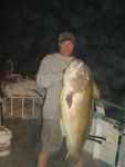 NY State Record Tile Fish